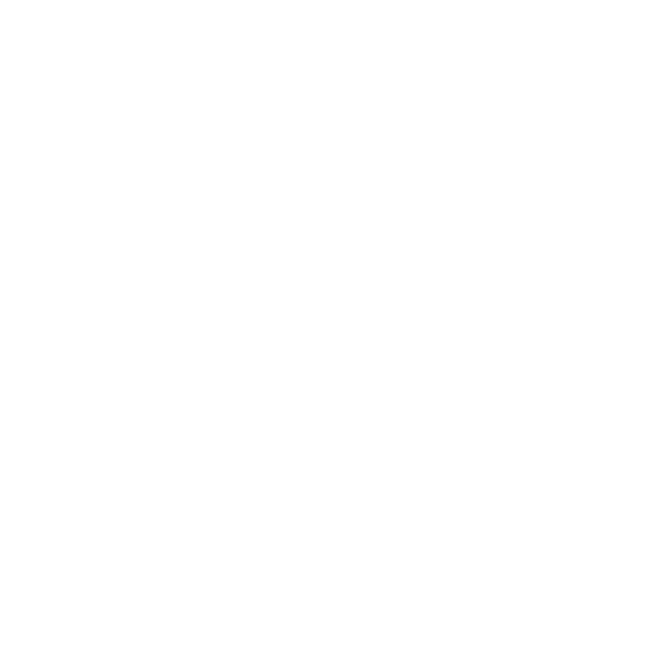Honda Moto